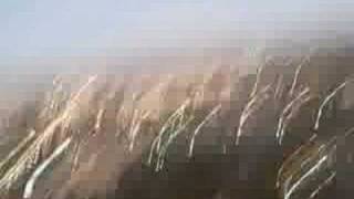 Aug 31 2008 - VID00038