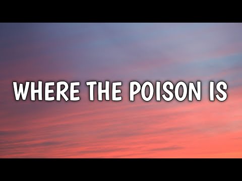 FINNEAS - Where the Poison Is (Lyrics)