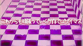 Kore kara mo Ganbatteiku Shozon de Gozaimasu