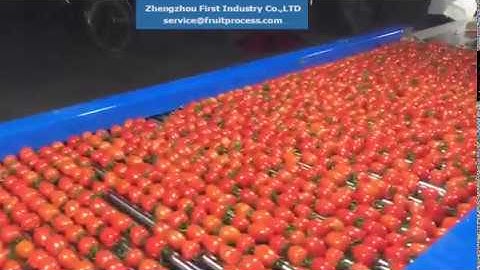 cherry tomato sorting machine，grape tomato grader, basil grading machine