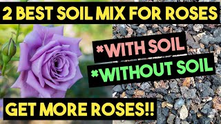 2 best potting mix for roses | soil ...