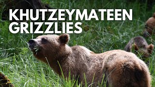 Khutzeymateen Grizzly Sanctuary