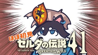 【はじめてのゼルダの伝説】＃41　これ以上のコログの実に何の意味があるってんだい！？【BotW】