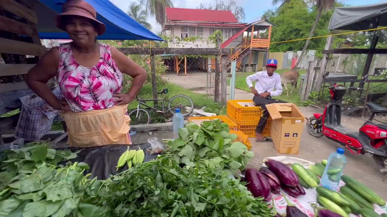 Visiting ￼Port mourant market/Rosignal market