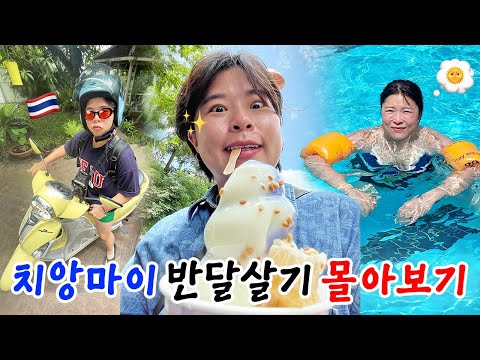✦꿀잼보장✦ 존맛사냥꾼&태국만렙의 치앙마이 반달살기 몰아보기😋