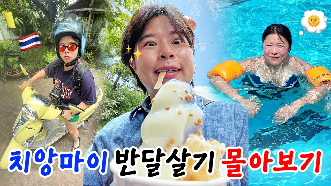 ✦꿀잼보장✦ 존맛사냥꾼&태국만렙의 치앙마이 반달살기 몰아보기😋