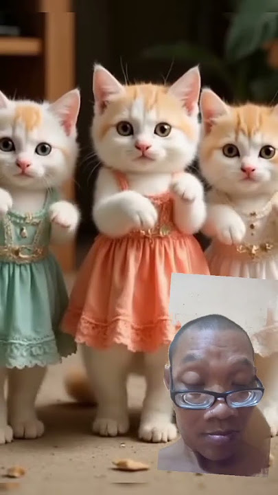 DJ remix koplo judul lagu kucing imut imut Yau tube mix com official
