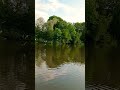 Живописное озеро в парке #nature #природа #природныепейзажи #парк #прогулка #санктпетербург #озеро