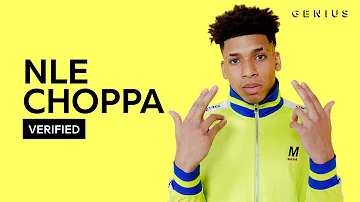 NLE Choppa "Shotta Flow" Official Lyrics & Meaning | Verified