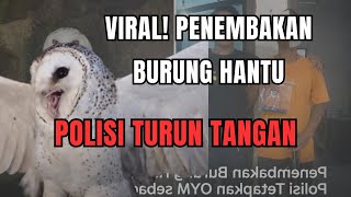 Video Penembakan Burung Hantu di NTT Viral, Polisi Turun Tangan