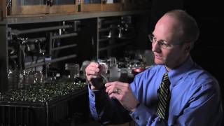 BYU in 'Science:' helping plants fertilize themselves