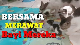 Merawat Bayi Kucing Bersama | Fafa & Yayuk Kompak