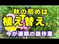 夏越ししたガーデンシクラメンやマーガレットなど7種類の花々の植え替え植え付けをまとめた動画です。