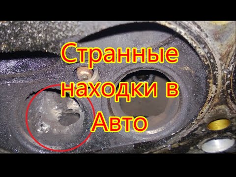 Мотроник авто даурская