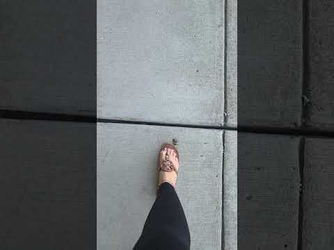 Another one in the Torys. #invasive #lanternfly #stomp #feet #sandals #bug