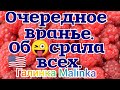 Лена Хеппи /Очередное вранье /Об😃срала Всех /Обзор Влогов /