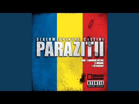 Mesaj pentru Europa
