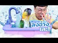 เปลี่ยนเครื่องล้างจาน?? ให้เป็นเครื่องอาบน้ำนก | ไอเทมอิหยังวะ EP.1