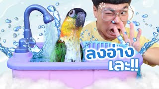 เปลี่ยนเครื่องล้างจาน?? ให้เป็นเครื่องอาบน้ำนก | ไอเทมอิหยังวะ EP.1