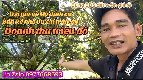 gia đình cần chuyển nhượng lại mảnh đất nhà vườn trái cây sầu riêng thái doanh thu ổn định 