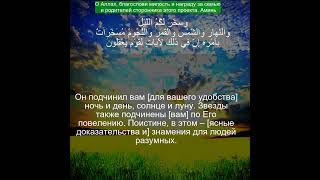 Коран Сура Ан-Нахль | 16:12  | Чтение Корана с русским переводом| Quran Translation in Russian