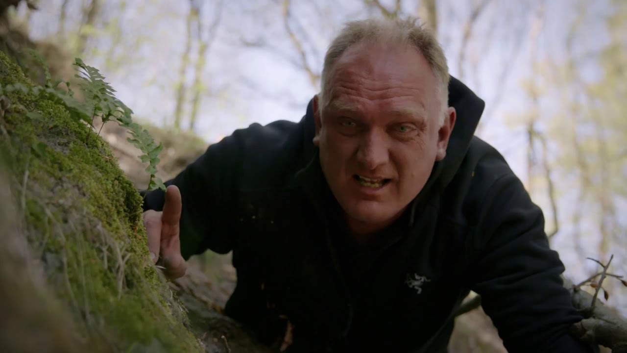 99 arter at se før du bliver voksen: ALMINDELIG ENGELSØD