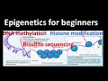 Epigenetics| DNA methylation | Histone Modifications| Bisulfite sequencing| Genetics for beginners