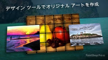 PaintShop Pro X5 - Japanese