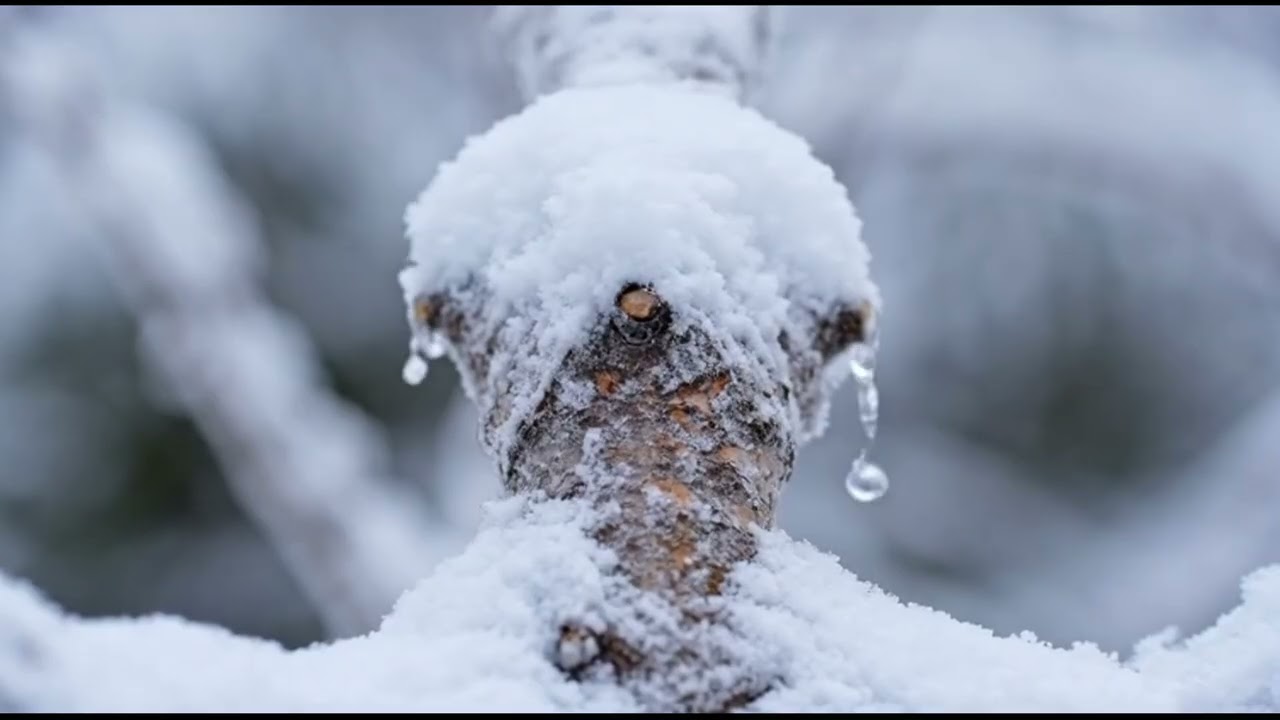 9 Hour Snowy POV Winter Walk ASMR | Rain & Gentle Footsteps for Deep Sleep ❄️🌧️