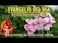 Evangelio del día Miércoles, 26 de Agosto de 2020 - Tienen buena apariencia, pero el interior dañado