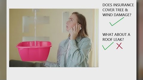 What damage does your insurance cover?  | 2 Wants to Know