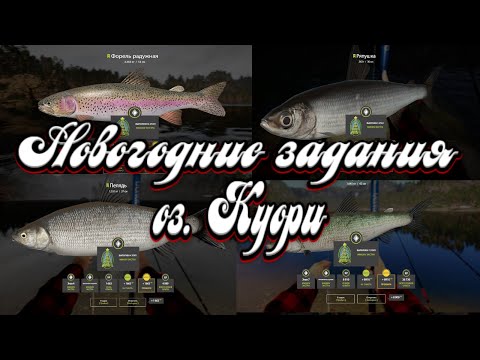 РР4 | Радужная форель, сиг куорский, пелядь и ряпушка | Новогодние задания | река Белая