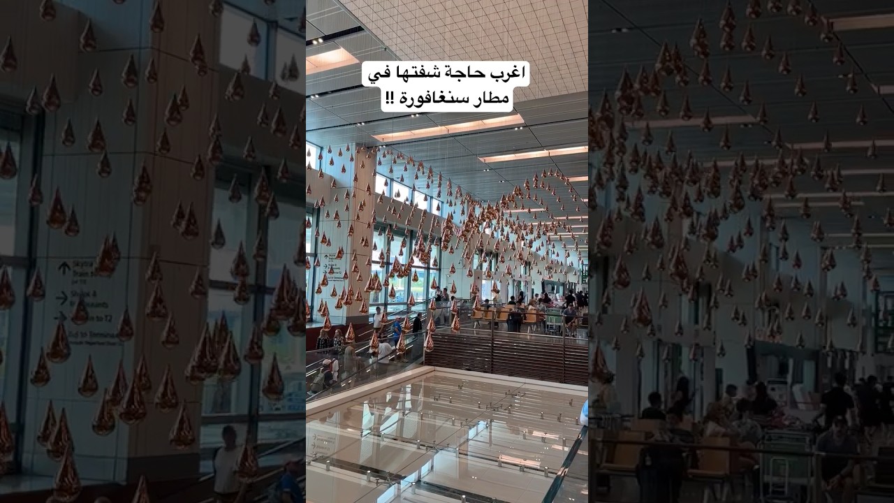 ⁣اغرب حاجة شفتها في مطار سنغافورة!!