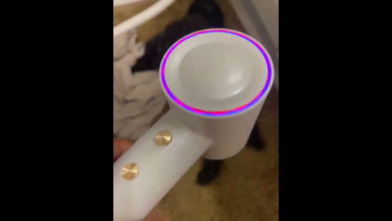 Effortless pet grooming with adjustable, quiet blow dryer 