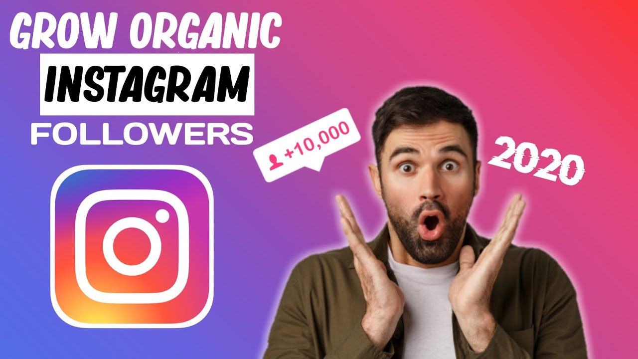 How To Get Active Instagram Followers instagram ke active followers