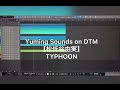 【松任谷由実】TYPHOON (DTMカバー)