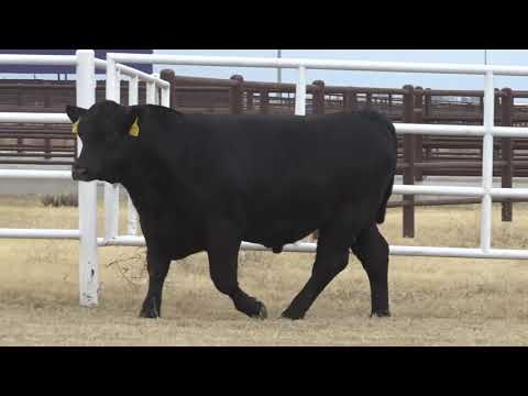 Lot 65, G A R Ashland 959M