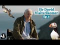 Filming wild isles sir david attenborough visits skomer island ep 2