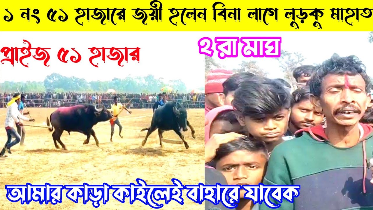 ১ নং ৫১ হাজারে জয়ী হলেন বিনা লাগে লুড়কু মাহাত,২ রা মাঘ,কালকেই আমার কা*ড়া বাহিরে যাবেক, ৫১ হাজার 👈
