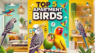 5 Best Apartment-Friendly Pet Birds 🏢🐦 |  Quiet Birds for Small Spaces#featherybabies #petbirds