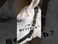 競走馬のON OFFが激しすぎる様子がコチラ