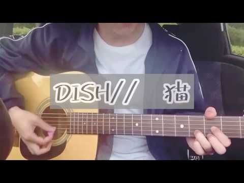 DISH// —猫　弾き語り　Covered by あたまむし