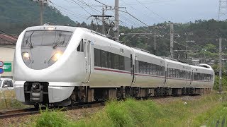 2019/06/07 5087M 特急 はしだて7号 289系(FG411編成)