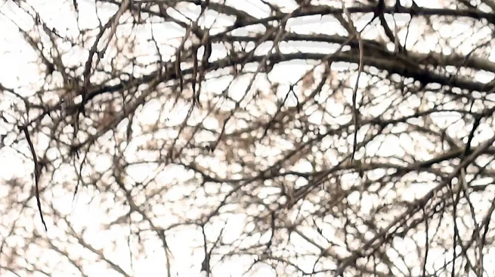 Official  Video for "Michael's Song", by Alison May