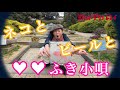 ヨコハマゲリラレコード#7【動く!ズボンの折り目】斉藤ネヲンサイン コラボ企画