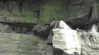 arctic cruise 2010 pt 3 lerwick and noss hd 720