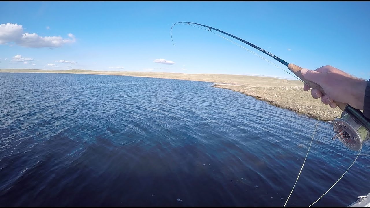 Diamond Lake WY trout fishing Challenge YouTube