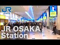 JR Osaka Station Walking - All Ticket Gates and All Platforms [4K] POV