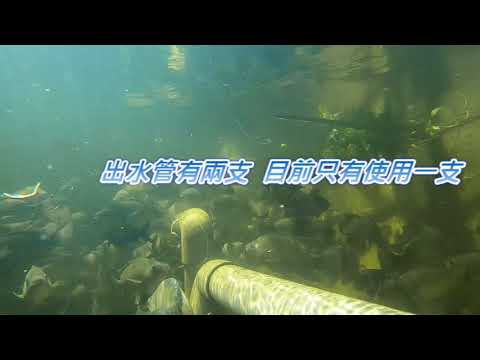 20211007新竹縣寶山鄉 郭重生的魚菜系統
