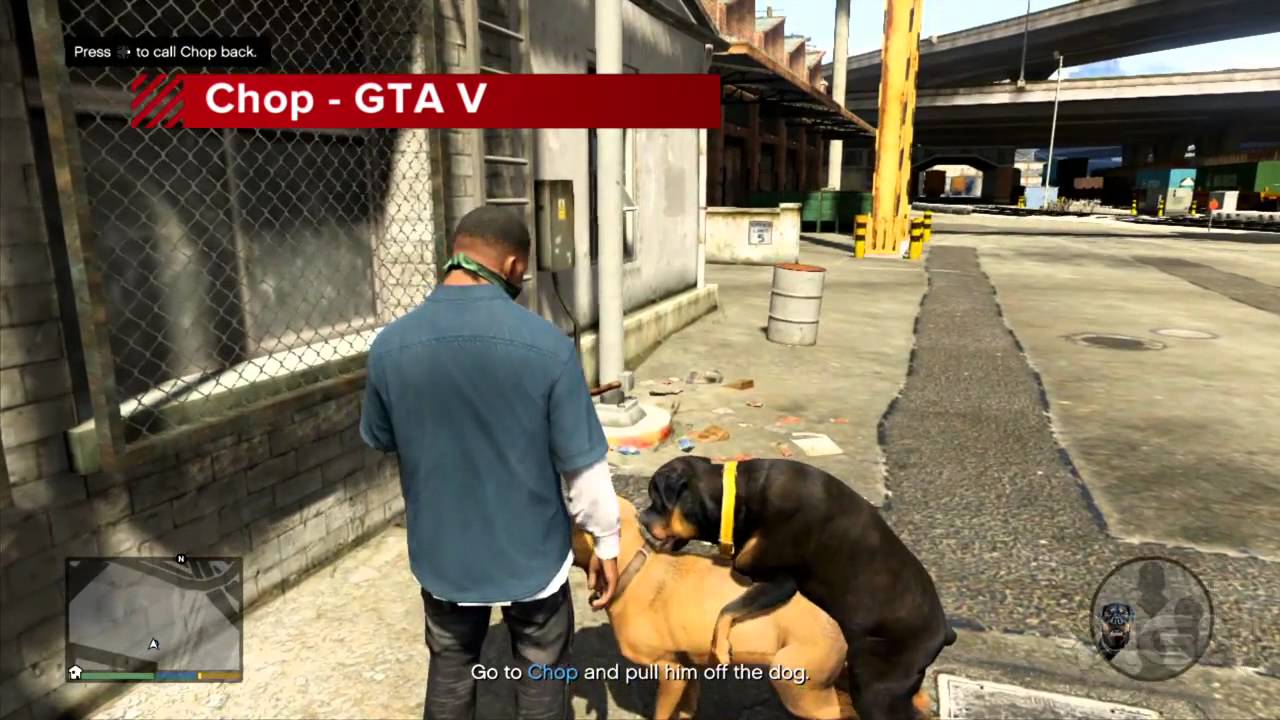 Top 10 Dogs in Video Games